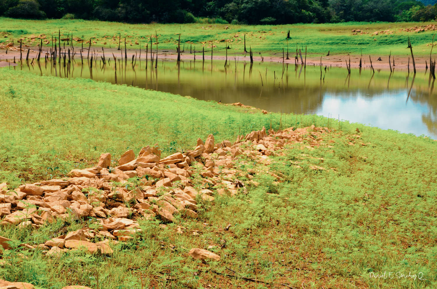 Visita al Camino Real