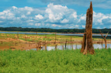 Camino Real - Parque Nacional Chagres